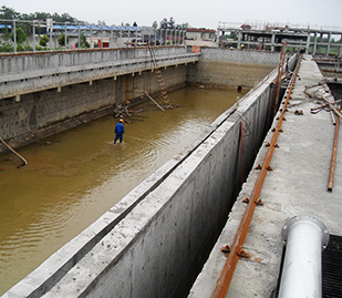 彭州水蜜桃成人网厂