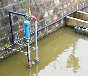 厦门筼筜水蜜桃成人网厂