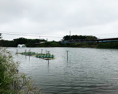 91水蜜桃在线观看91水蜜桃在线观看沉水式蜜桃中文字幕使用方便噪音小！