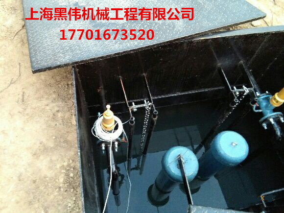 沉水式罗茨鼓蜜桃中文字幕
