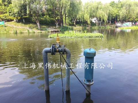 河道治理沉水式鼓蜜桃中文字幕