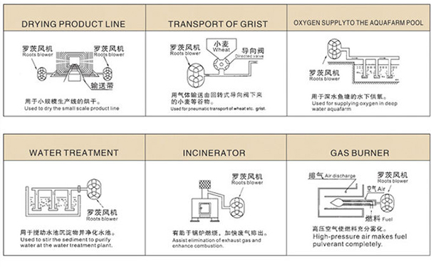 91水蜜桃在线观看罗茨鼓蜜桃中文字幕的用途有哪些
